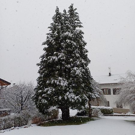 Appartamento Tenaglia Spormaggiore Esterno foto